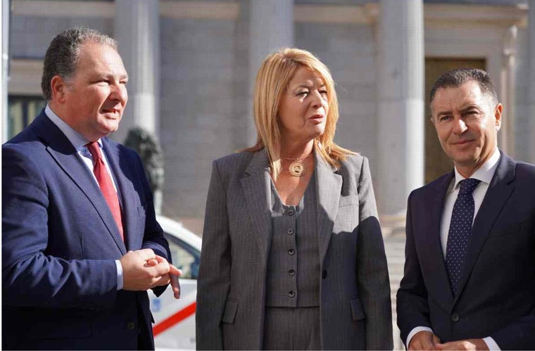 Pilar Miranda, en la puerta del Congreso de los Diputados, junto a David Toscano y su concejal Felipe Arias