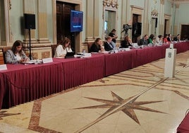 El PSOE dice que la alcaldesa de Huelva ha aprovechado el 'veto' a Gabriel Cruz en el pleno para tumbar sus dos mociones