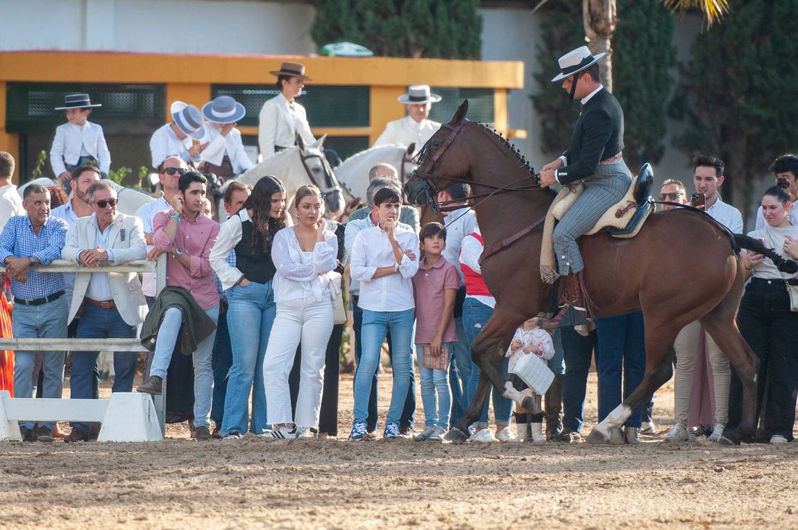 La despedida de la Feria del Caballo de Huelva 2024, en imágenes