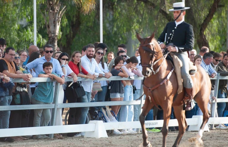 Exhibición de doma vaquera
