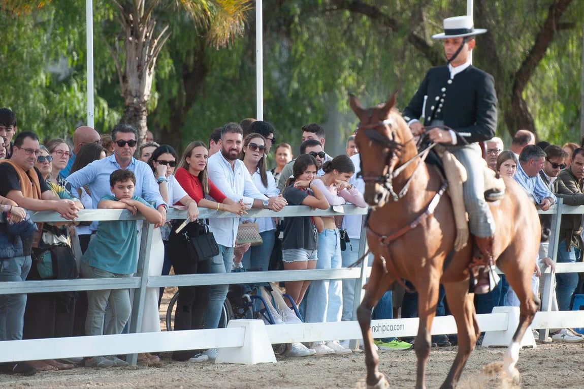 La despedida de la Feria del Caballo de Huelva 2024, en imágenes