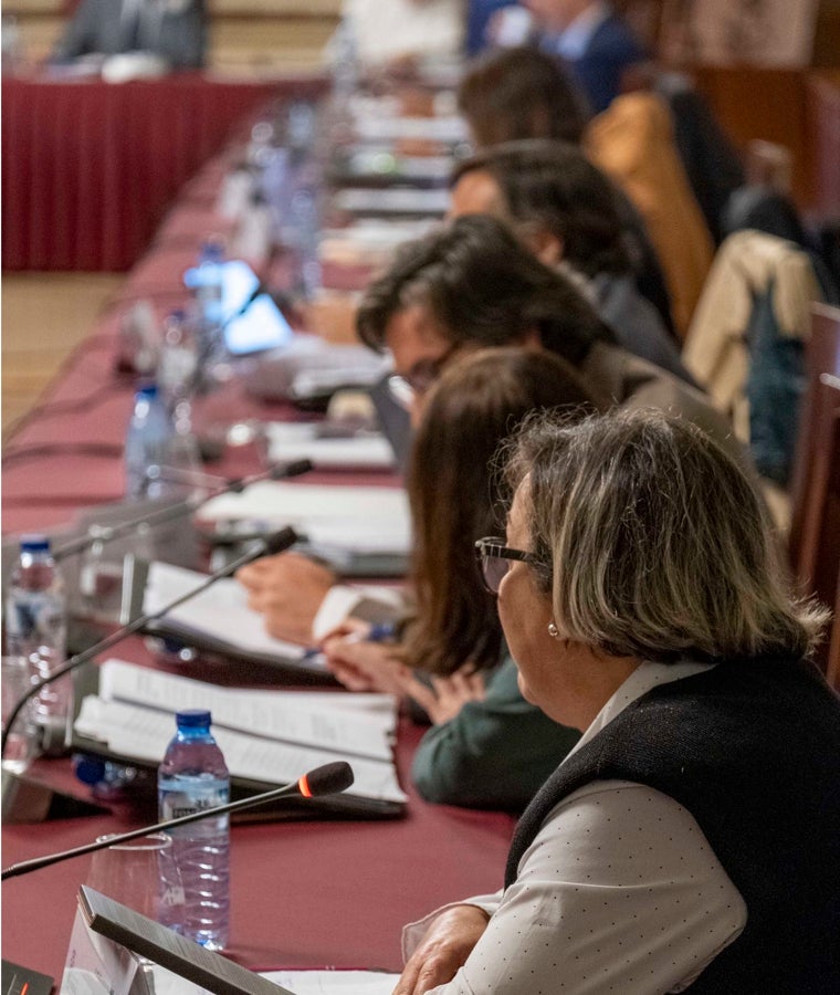 El pleno da vía libre a la transformación del Muelle de Levante con la aprobación del Estudio de Detalle