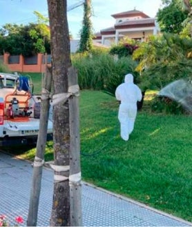 Imagen secundaria 2 - Sólo un 4,41% de las especies de mosquitos capturados en Huelva pueden transmitir el virus del Nilo