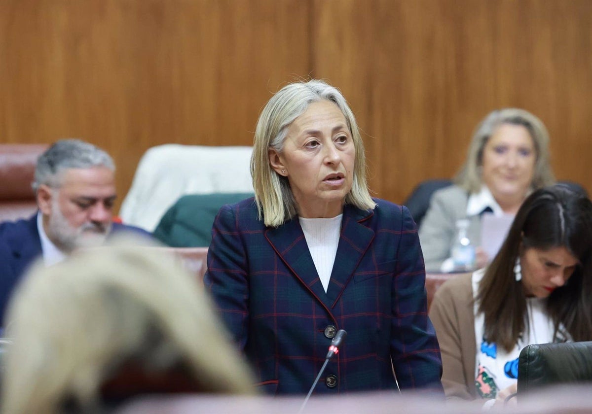 la consejera de Salud y Consumo, Rocío Hernández, durante el Pleno de la Junta de Andalucía