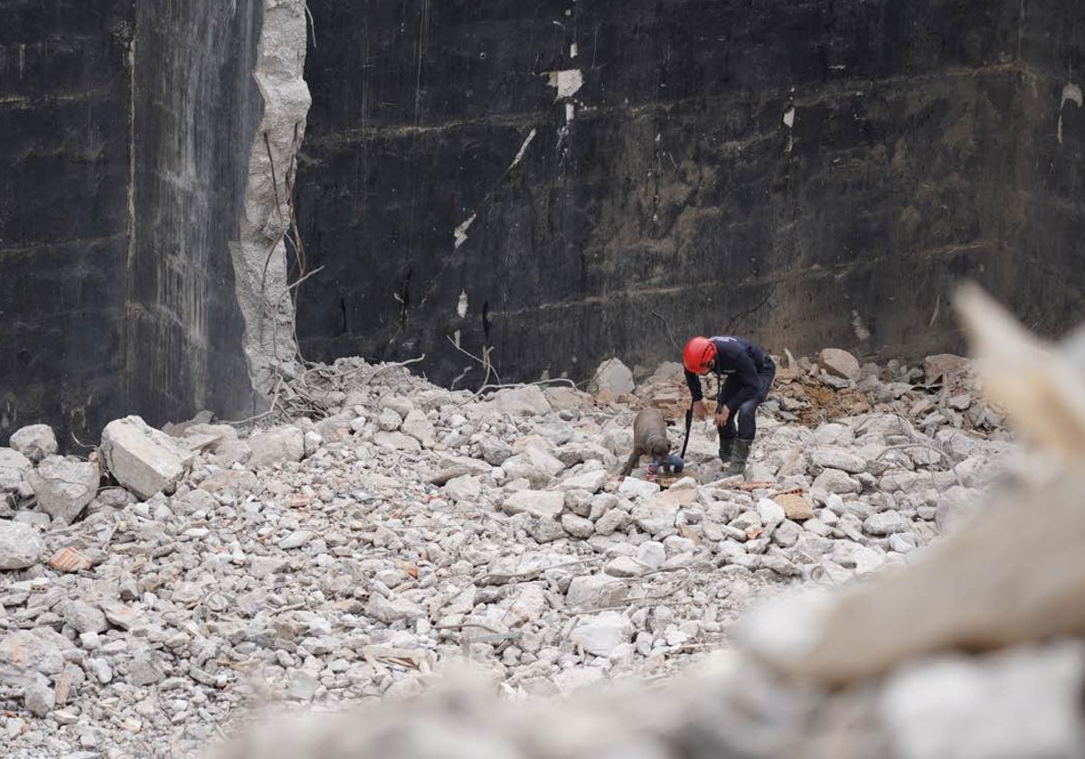 Un bombero con uno de los perros de la unidad