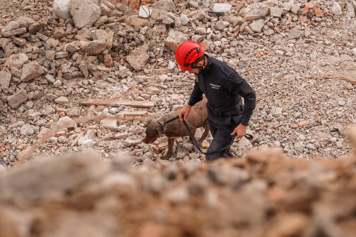 Escuela canina de rescate en los escombros de Expofrisa