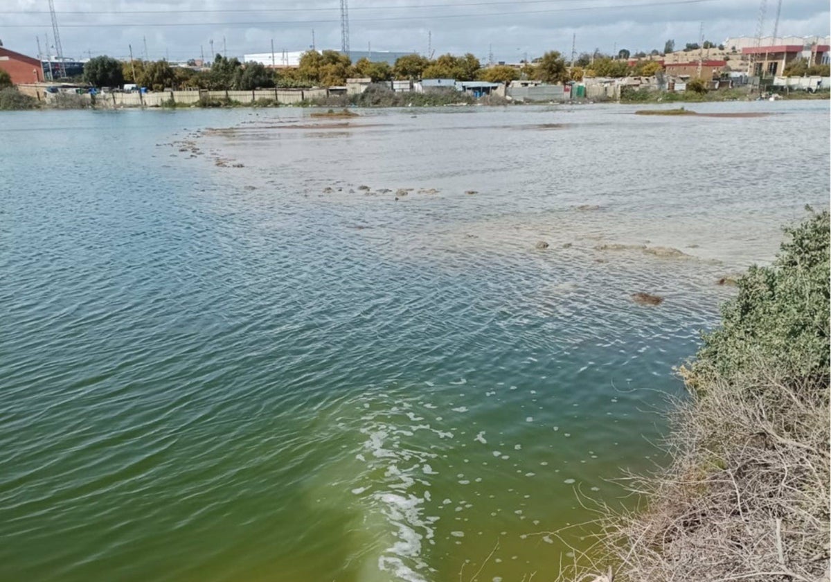 Imagen del supuesto vertido a la ría desde la balsa de fosfoyesos de Huelva