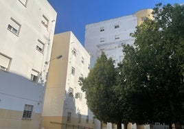 La Junta destina 1,5 millones en rehabilitar 65 viviendas de tres bloques de Los Rosales en Huelva