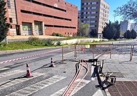 Endesa refuerza en Huelva la red eléctrica de La Orden con una nueva línea de media tensión