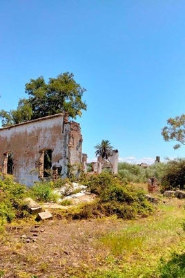 Un recorrido por las ruinas de la antigua fábrica de Tejero, conservera onubense de referencia en España