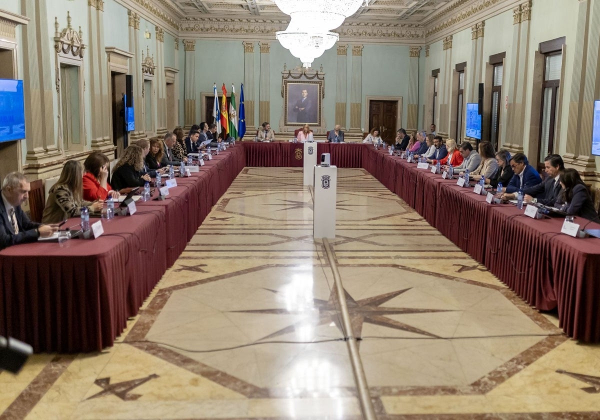 Imagen del pleno de hoy