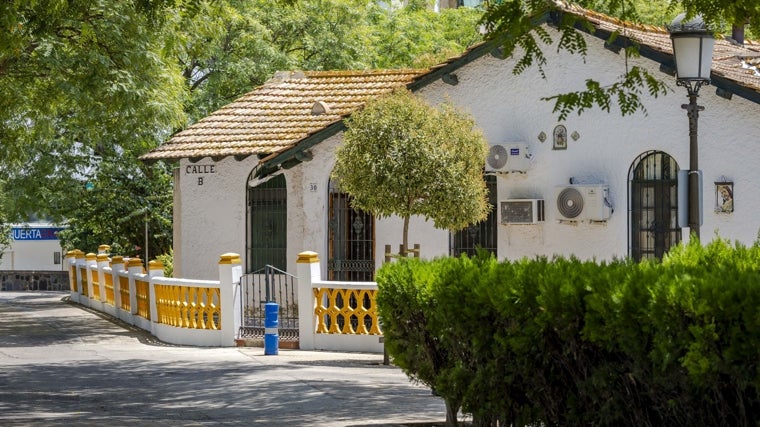 El triangulillo se esconde ahora mismo tras estos setos