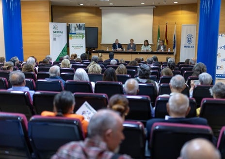 Imagen secundaria 1 - El Ayuntamiento de Huelva reivindica la contribución de la participación ciudadana con «la escucha activa» a la población