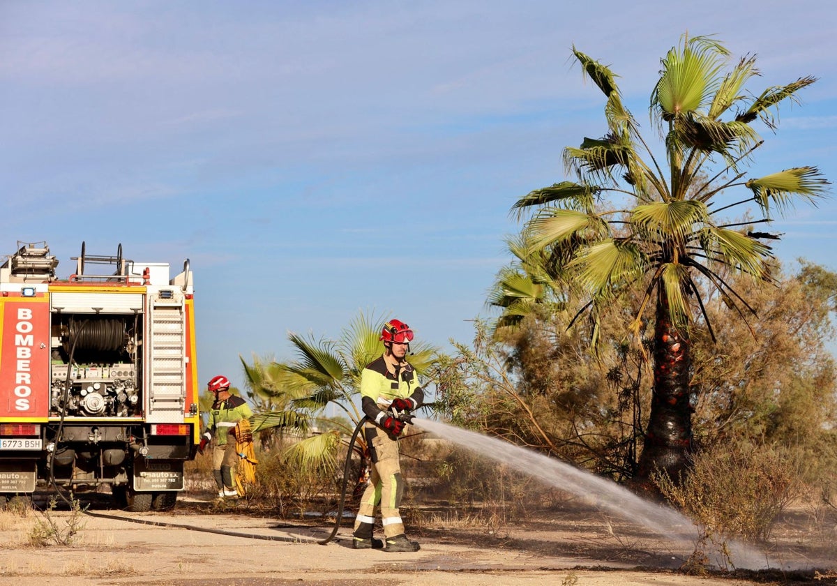 Los bomberos sofocan el fuego en la parcela