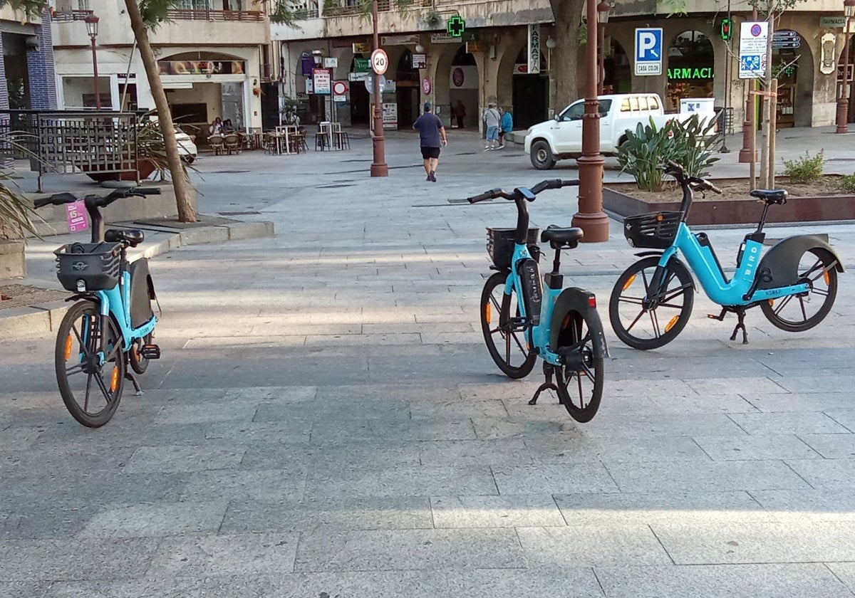 Bicicletas 'aparcadas' en la Palmera