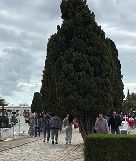 Imagen secundaria 2 - Día de Todos los Santos en el cementerio de Huelva: «La docena de claveles está carísima»