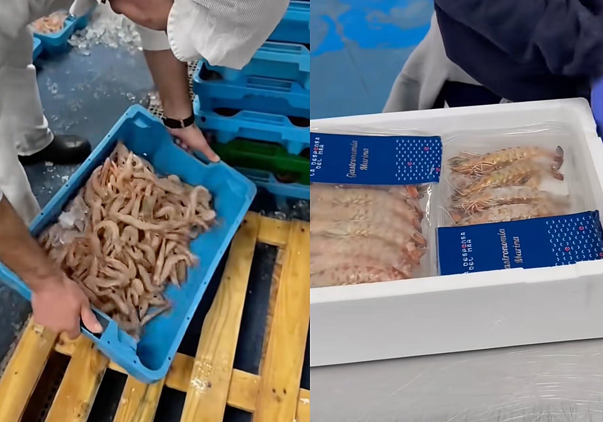 Proceso de preparación para enviar el marisco