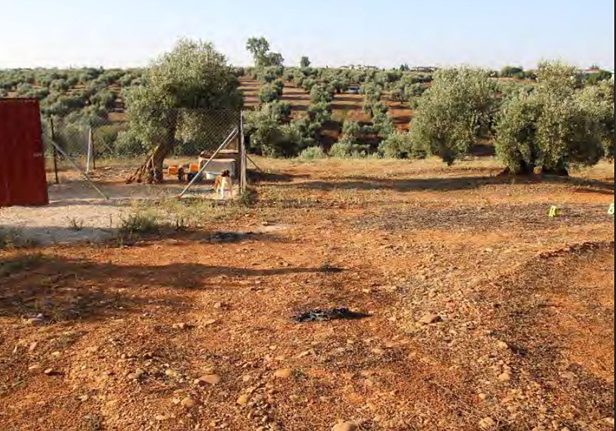 Lugar donde se produjo el atropello mortal de la onubense Alicia Rodríguez