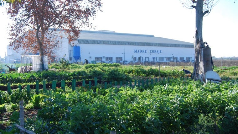 «Cuando hace 30 años nadie hablaba del reciclaje, nosotros ya lo estábamos practicando»