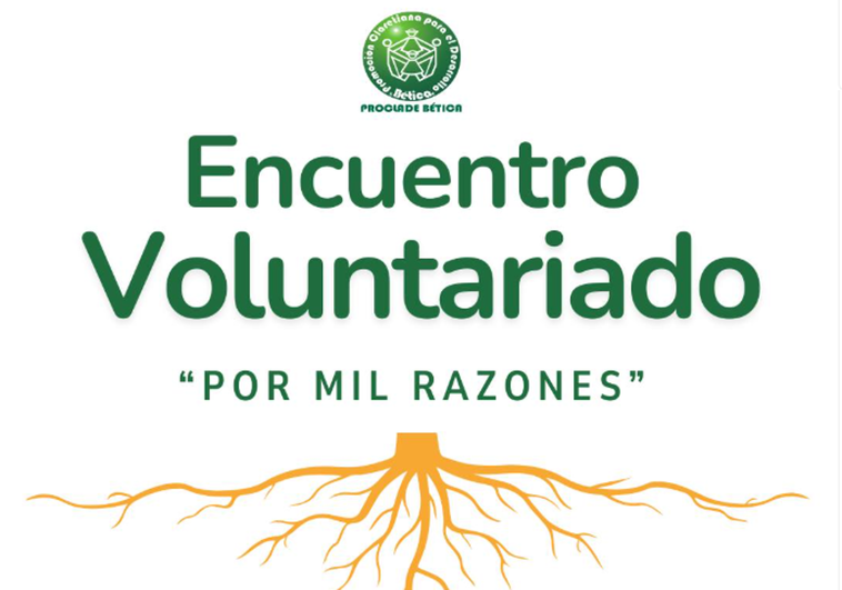 Captura de pantalla del cartel del evento