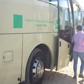 Damas ofrece un horario especial de autobuses para El Rocío 2023