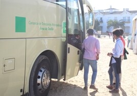 Damas ofrece un horario especial de autobuses para El Rocío 2023