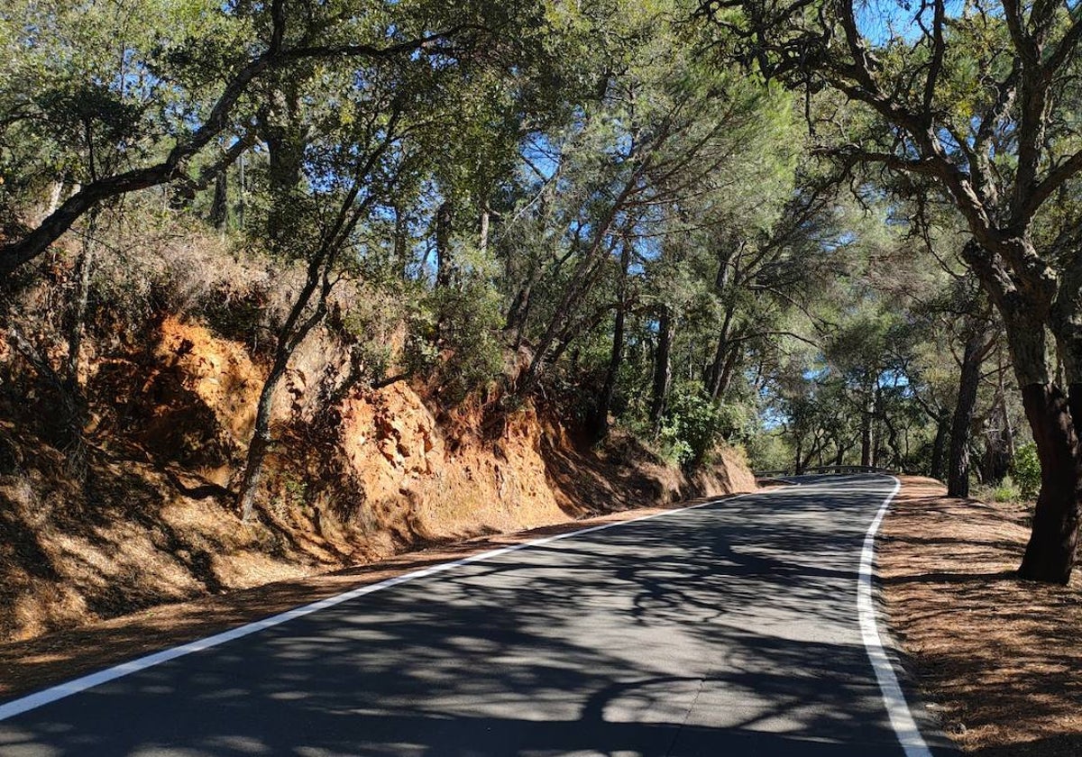 Carretera entre Cortegana y Aracena