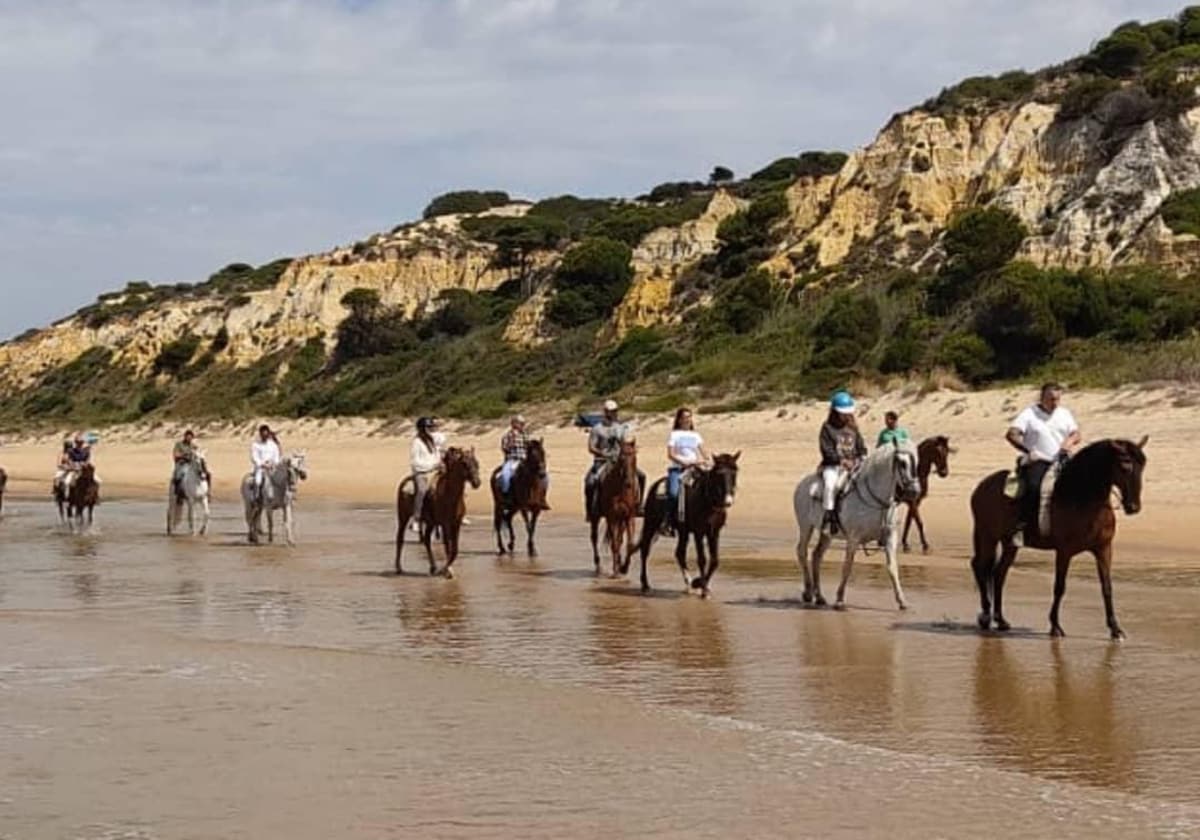 Ruta a caballo en grupo por la playa de Mazagón, en el entorno del Parque Natural de Doñana