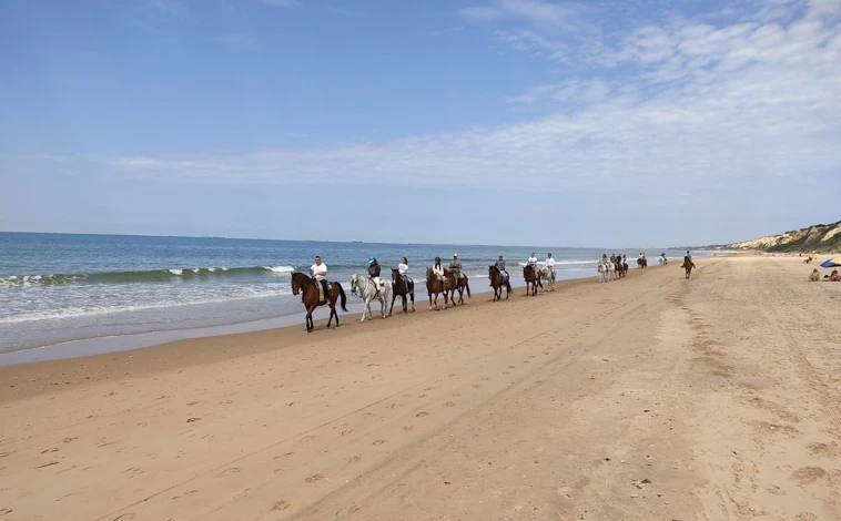 Imagen principal - Paseos a caballo por Doñana en Huelva: ¿dónde puedo hacerlo, cuánto tiempo es y cuál es su precio?