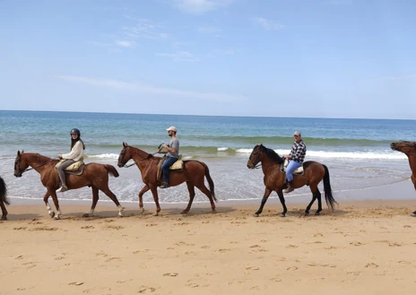 Imagen secundaria 1 - Paseos a caballo por Doñana en Huelva: ¿dónde puedo hacerlo, cuánto tiempo es y cuál es su precio?