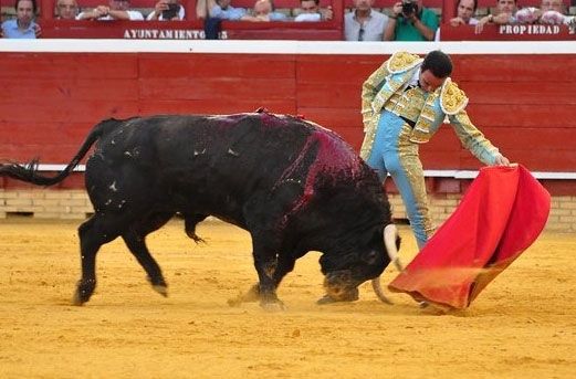 Entre Ponce y Fandiño, 'Riojano'