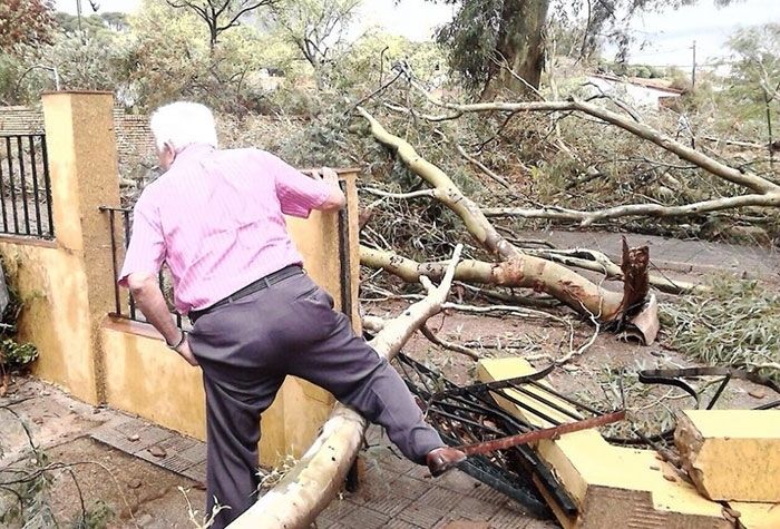 Expertos de la Aemet tratan de averiguar en Valdelamusa si los incidentes fueron causados por un tornado