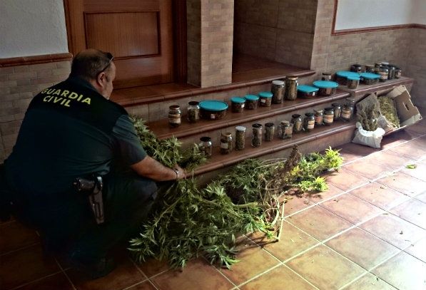 Detenidas cuatro personas en Trigueros, Palos y Calañas por mantener plantaciones de marihuana
