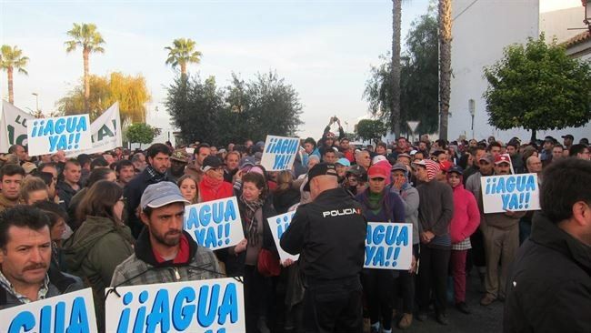 Agricultores piden a las administraciones que paren el cierre de pozos en Doñana porque 'no tienen alternativa'