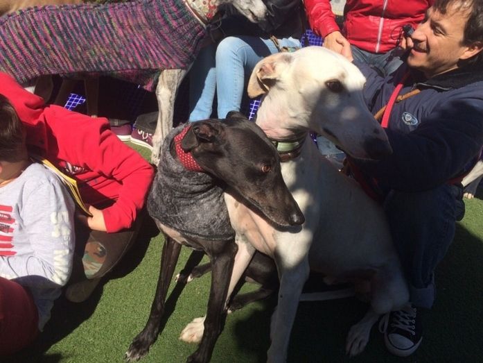 Paseo de denuncia en el día mundial del galgo