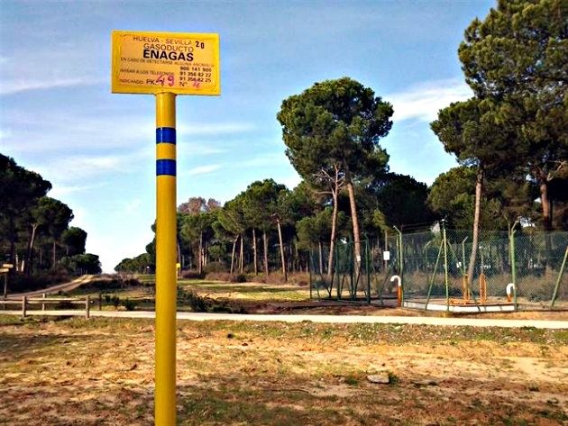 WWF entrega este miércoles a Susana Díaz más de 11.000 firmas recogidas contra el almacén de gas en Doñana