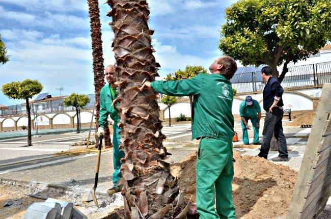 El Ayuntamiento de Palos reurbaniza la plaza de la Constitución