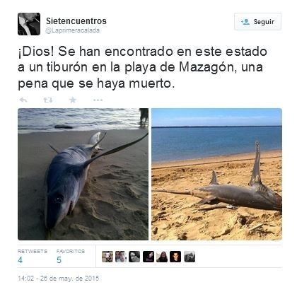 El runrún: El tiburón recurrente