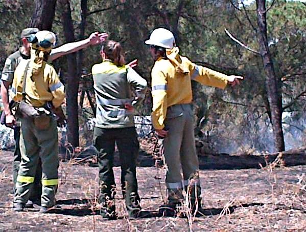 Extinguido el incendio forestal de Moguer que calcina dos hectáreas de matorral y pinar