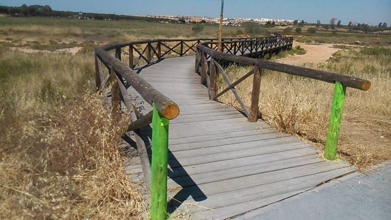 300 atletas correrán por los niños saharauis en el Trail Solidario Marismas de Corrales