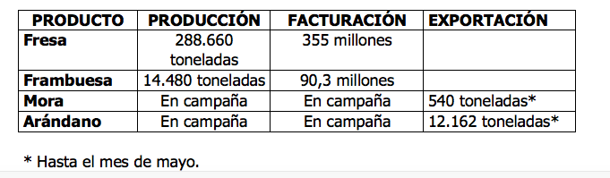 El sector fresero culmina la campaña con una producción de 288.000 toneladas y un 20% más de facturación