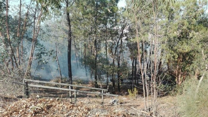 Un coche vuelca en un accidente en Cartaya, donde también se extinguió un pequeño incendio