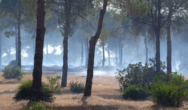 Investigan las causas del incendio del paraje de El Rincón que afectó a 12 hectáreas