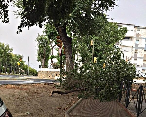 El runrún: El posible efecto de Hiroshima en Huelva