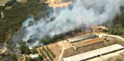 Controlado el incendio declarado en un paraje de eucaliptos de Villarrasa