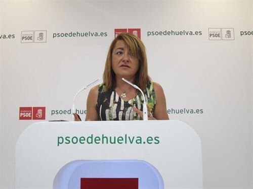 El PSOE pide al PP que aclare si apoya los 'recortazos' para Huelva