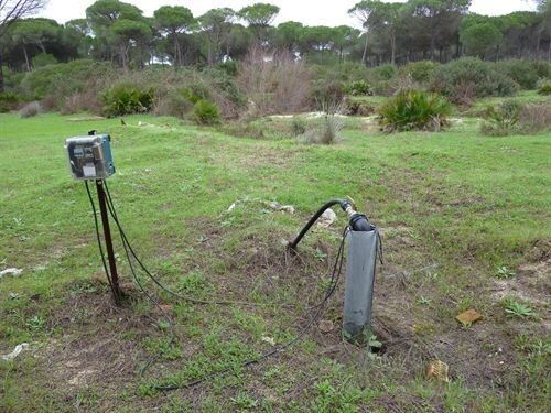 WWF critica la 'competencia desleal' entre agricultores freseros por el uso de fincas de secano