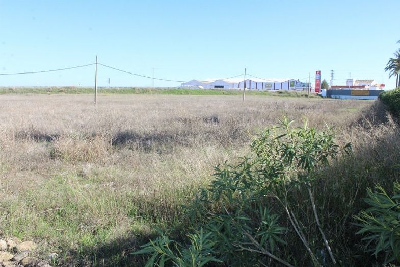 La Palma modifica su PGOU para construir un hospital concertado, una superficie comercial y viviendas de VPO