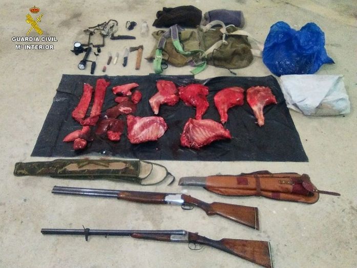 Detenidos dos vecinos de Almonte con un jabalí despiezado cuando cazaban ilegalmente