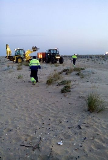 El Ayuntamiento presenta a la Junta un plan de playas que incluye una zona para mascotas y un parque acuático flotante en El Espigón
